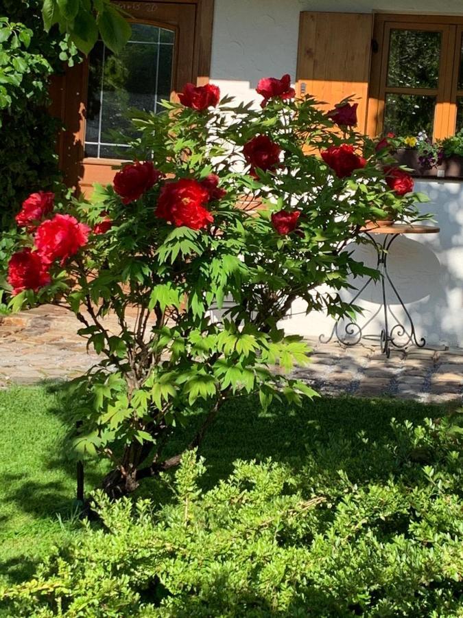 Ferienwohnung Fanese Flintsbach Bagian luar foto